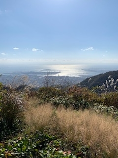 f:id:mwenge:20191112103700j:plain f:id:mwenge:20191112103700j:plain