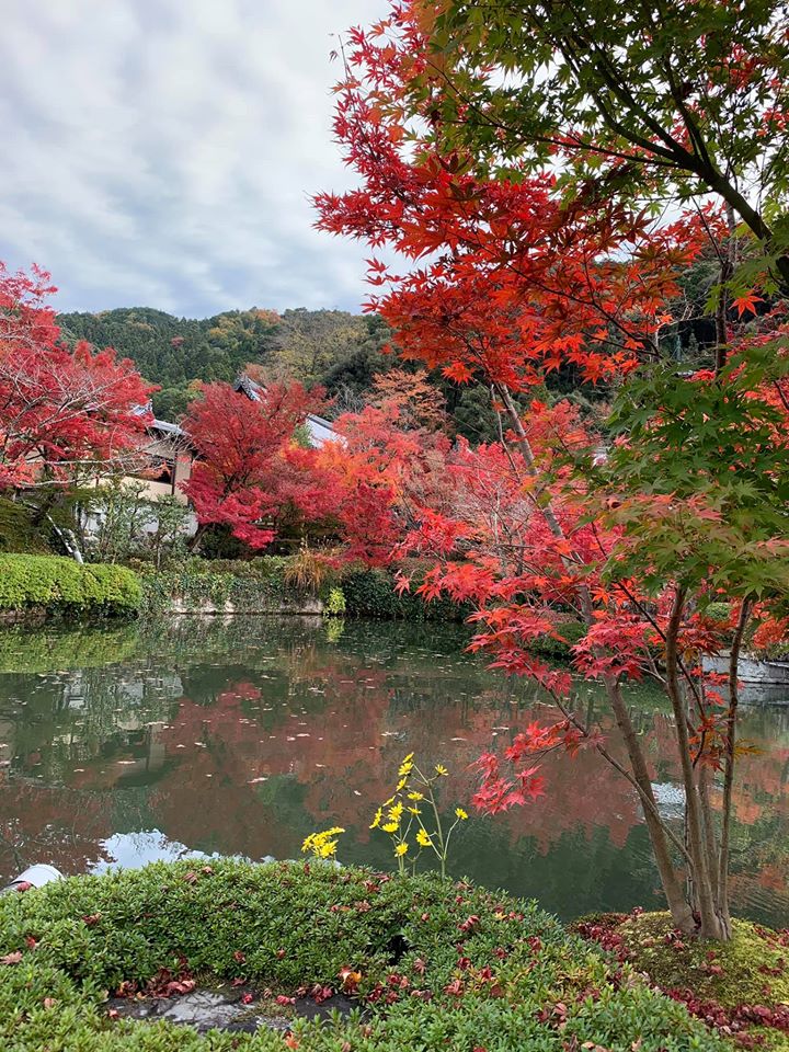 f:id:mwenge:20191126175517j:plain f:id:mwenge:20191126175517j:plain