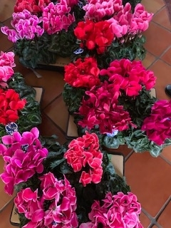 f:id:mwenge:20191203144302j:plain f:id:mwenge:20191203144302j:plain