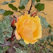 f:id:mwenge:20200106153910j:plain