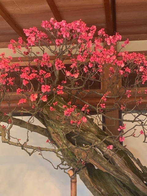f:id:mwenge:20200212115921j:plain f:id:mwenge:20200212115921j:plain