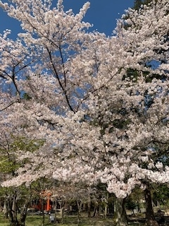 f:id:mwenge:20200406151349j:plain f:id:mwenge:20200406151349j:plain