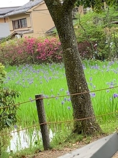 f:id:mwenge:20200510131725j:plain f:id:mwenge:20200510131725j:plain