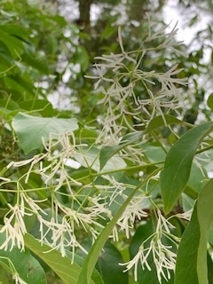 f:id:mwenge:20200518095751j:plain f:id:mwenge:20200518095751j:plain