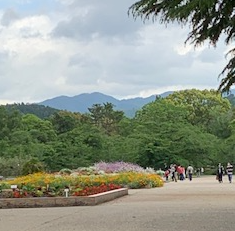 f:id:mwenge:20200524171842p:plain