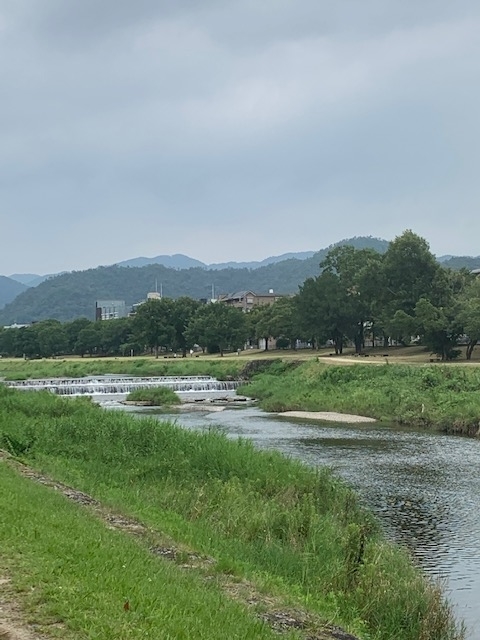 f:id:mwenge:20200807100629j:plain