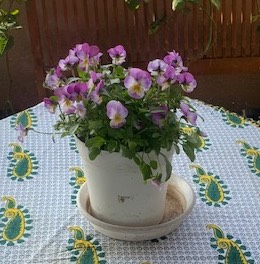 f:id:mwenge:20201222123815j:plain