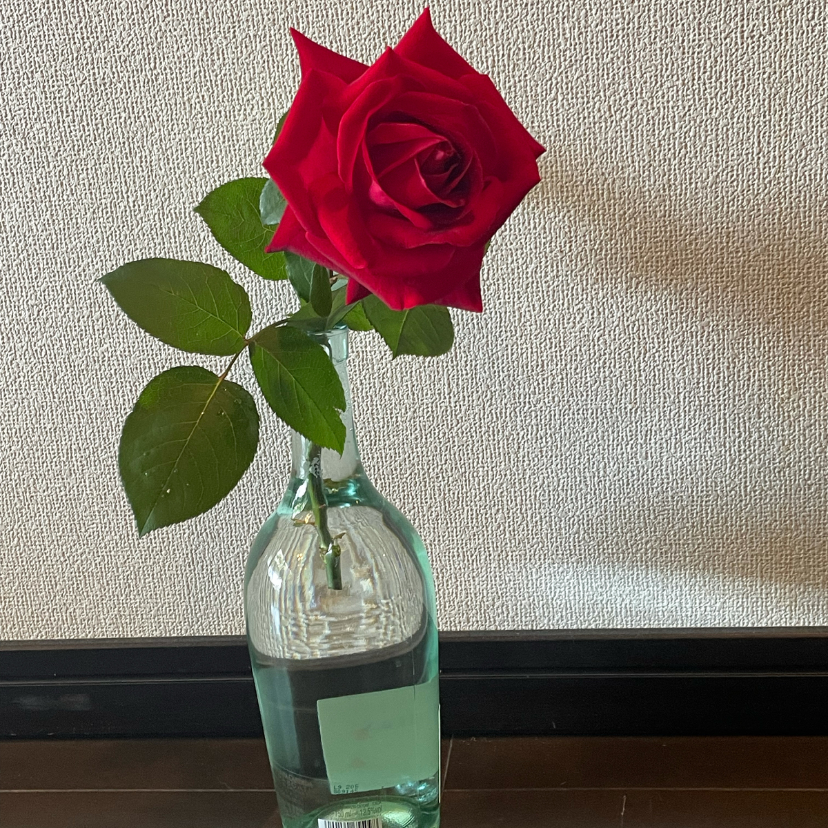 f:id:mwenge:20210612100447j:plain