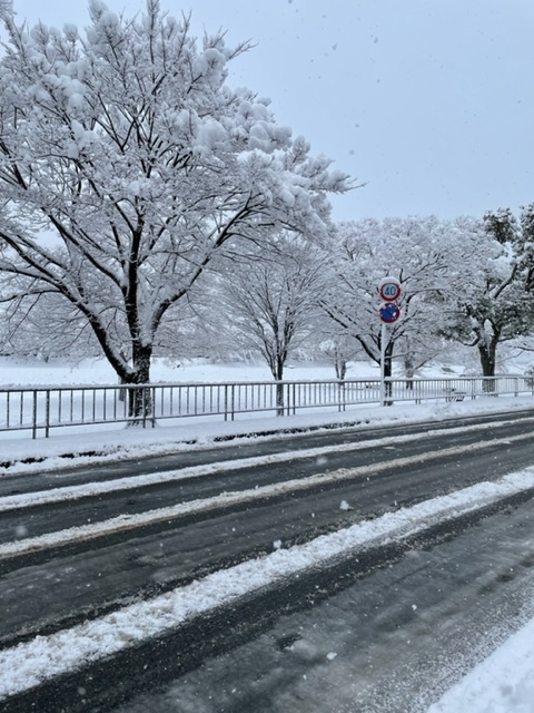 f:id:mwenge:20220121083736j:plain