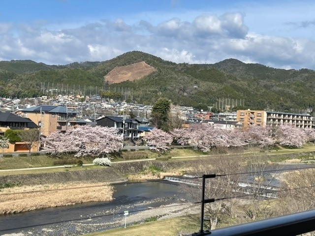 f:id:mwenge:20220401085915j:plain