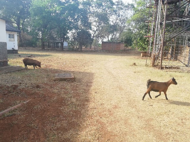 f:id:mwenya369:20191019220301j:image f:id:mwenya369:20191019220301j:image