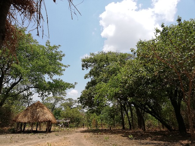 f:id:mwenya369:20191109214617j:image f:id:mwenya369:20191109214617j:image