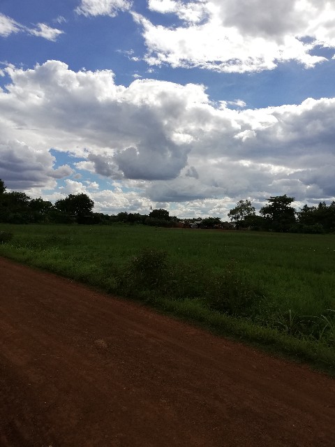 f:id:mwenya369:20200107032122j:image f:id:mwenya369:20200107032122j:image