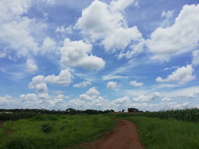 f:id:mwenya369:20200205033833j:image f:id:mwenya369:20200205033833j:image
