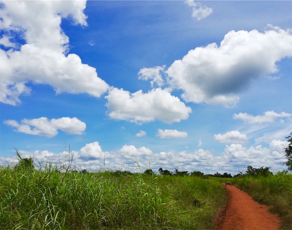 f:id:mwenya369:20200712004619j:image f:id:mwenya369:20200712004619j:image