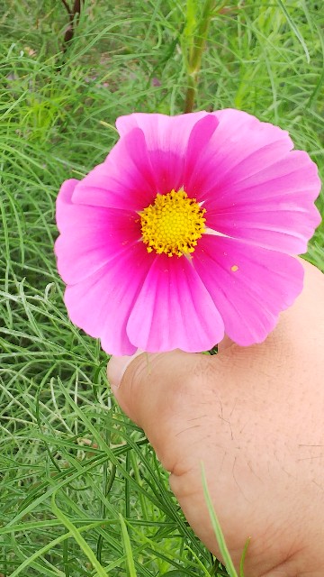 f:id:mwm29567:20201009214618j:image f:id:mwm29567:20201009214618j:image