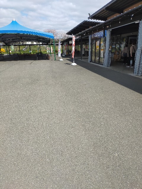f:id:mwm29567:20210406195901j:image f:id:mwm29567:20210406195901j:image