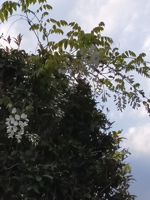 f:id:mwm29567:20210410195301j:image f:id:mwm29567:20210410195301j:image