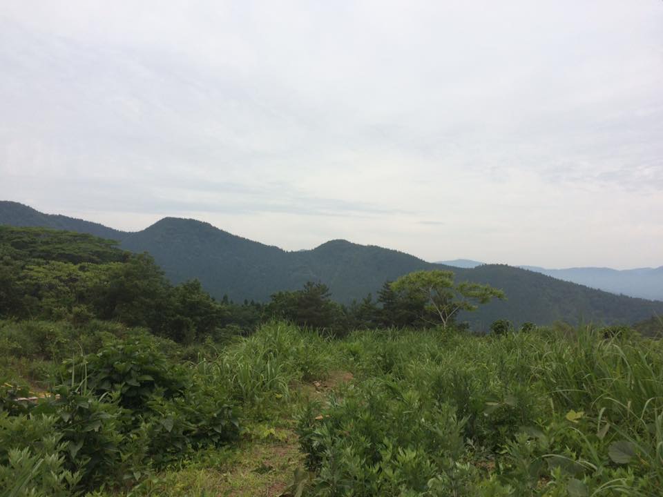 f:id:mx_sm:20170628215457j:plain f:id:mx_sm:20170628215457j:plain