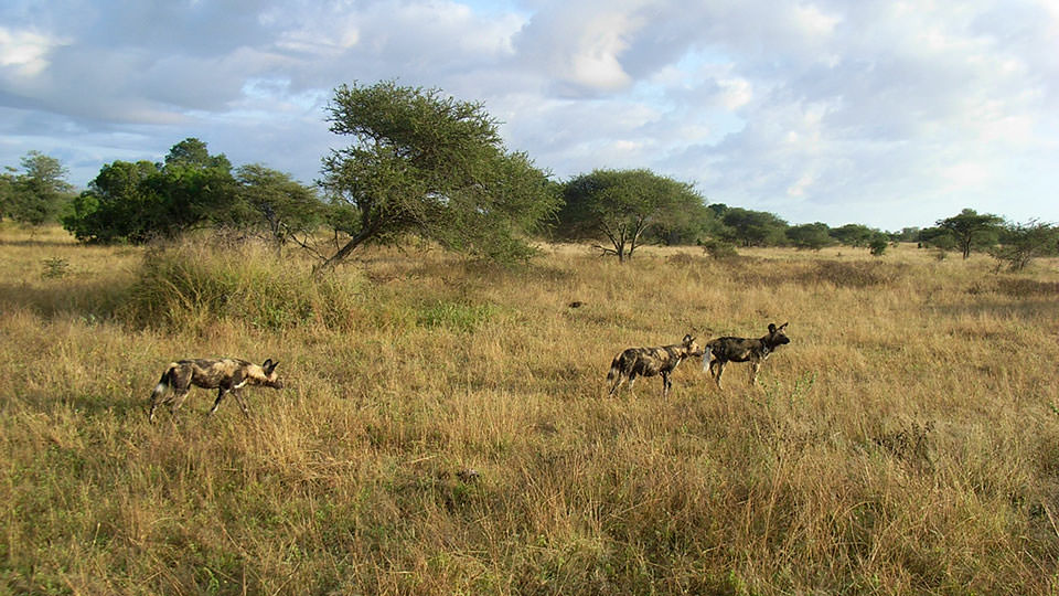 f:id:mxaxu:20200422183312j:plain