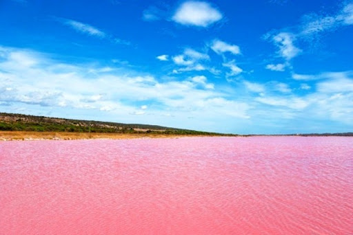 f:id:mxaxu:20200508225718j:plain