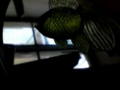20080220145456