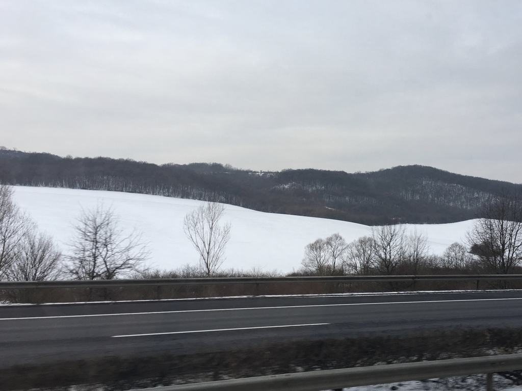 f:id:mxyxk:20190205230651j:plain f:id:mxyxk:20190205230651j:plain