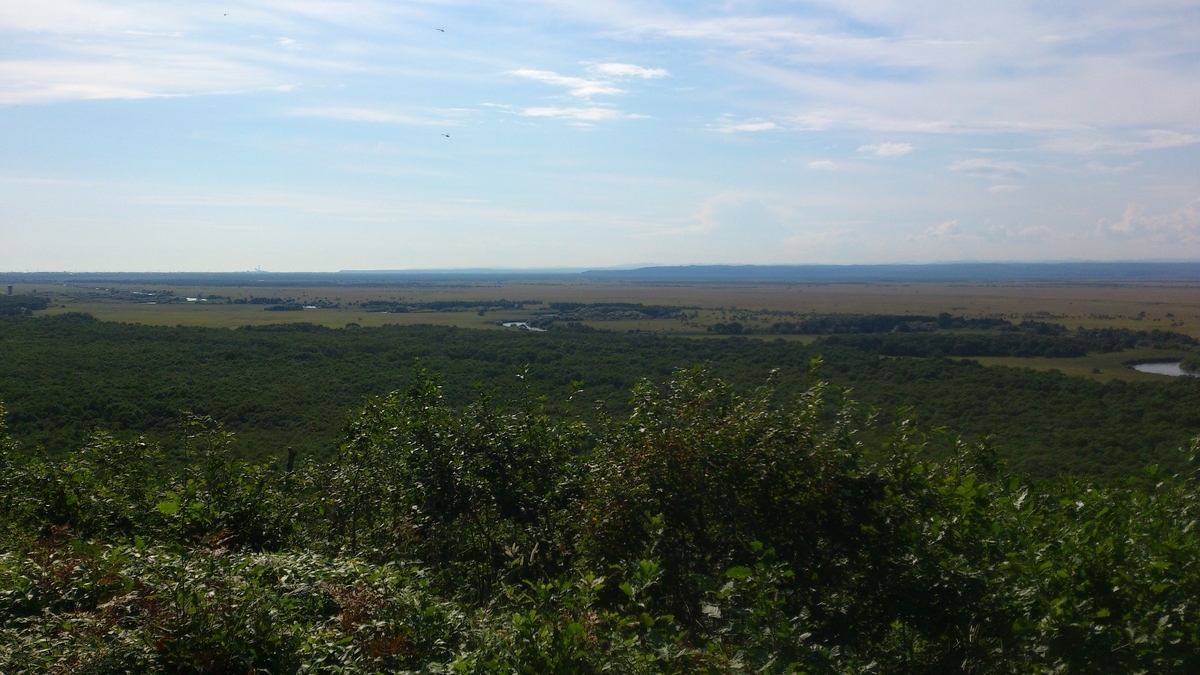 f:id:my-basic-needs:20200710031136j:plain f:id:my-basic-needs:20200710031136j:plain