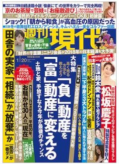 f:id:my-manekineko:20180105074236j:plain