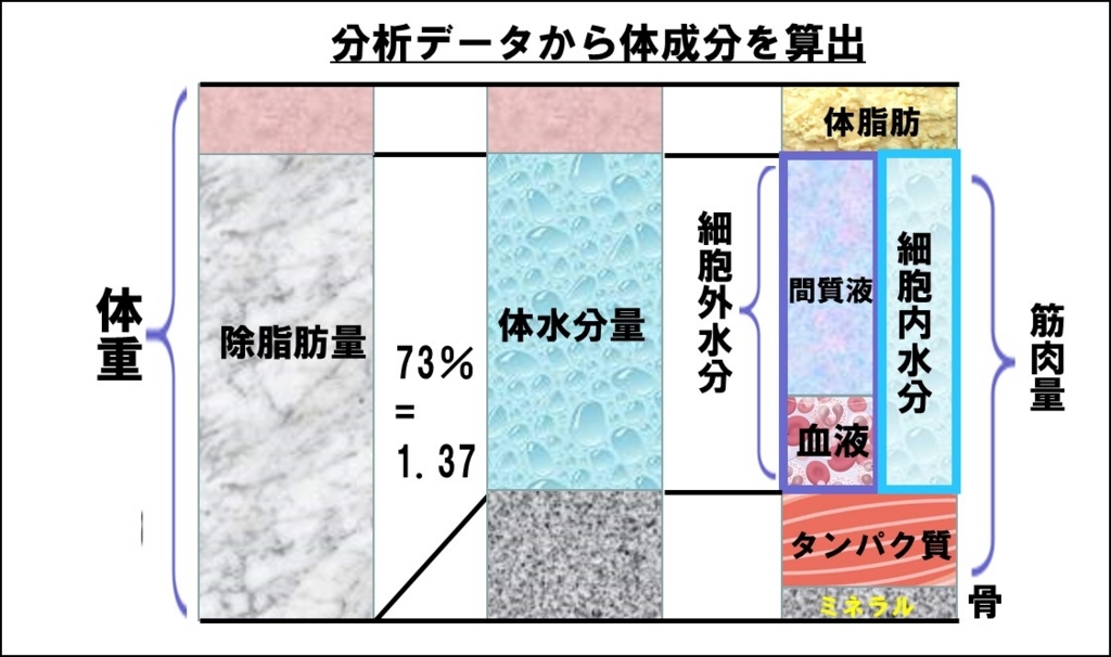 インボディにおける体成分の算出のロジック