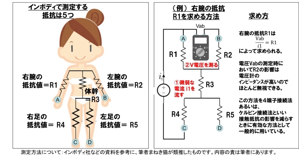 インボディの測定原理－測定は５つの部位を抵抗測定する