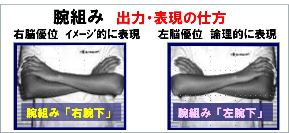 f:id:my-manekineko:20180920120832j:plain f:id:my-manekineko:20180920120832j:plain