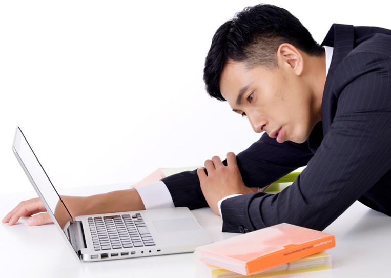 f:id:my-manekineko:20190131135012j:plain f:id:my-manekineko:20190131135012j:plain