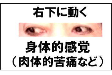 f:id:my-manekineko:20190326095141j:plain f:id:my-manekineko:20190326095141j:plain