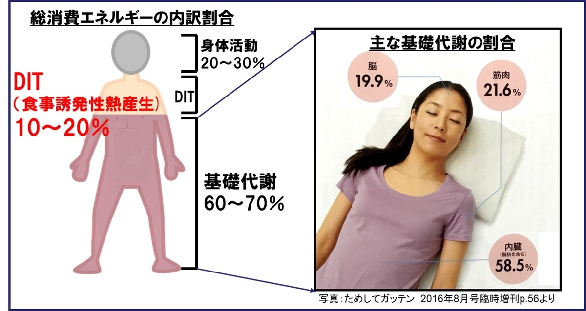 f:id:my-manekineko:20190530114258j:plain f:id:my-manekineko:20190530114258j:plain