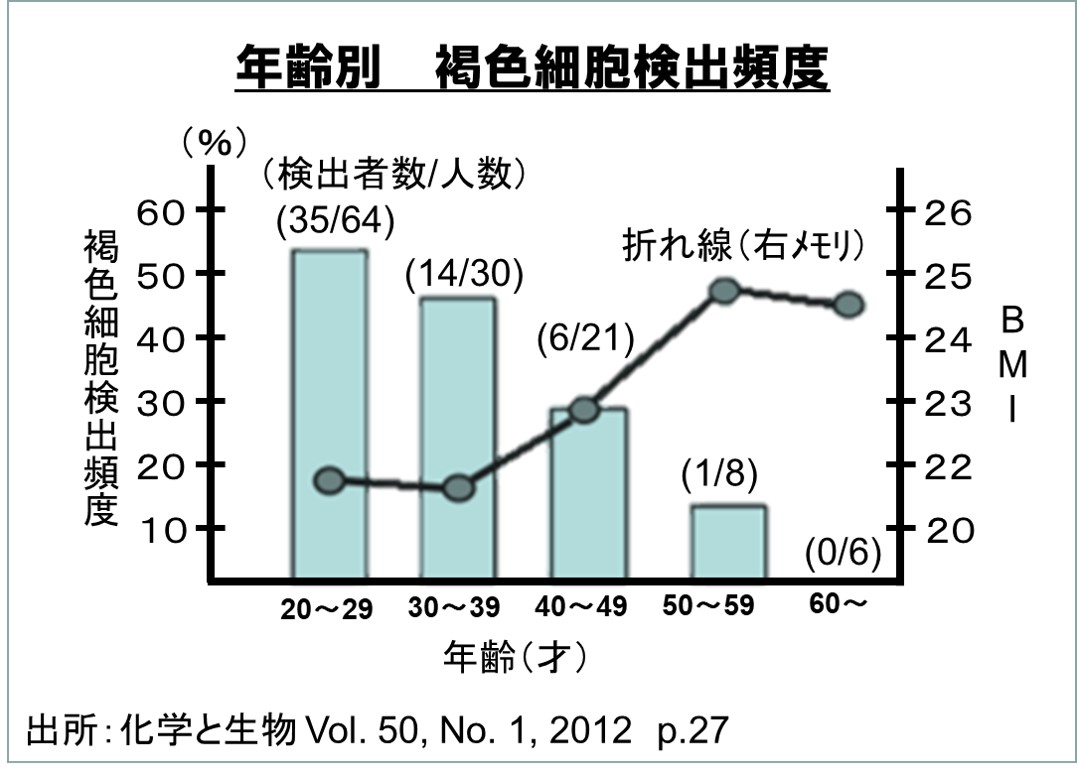 f:id:my-manekineko:20190530115801j:plain f:id:my-manekineko:20190530115801j:plain