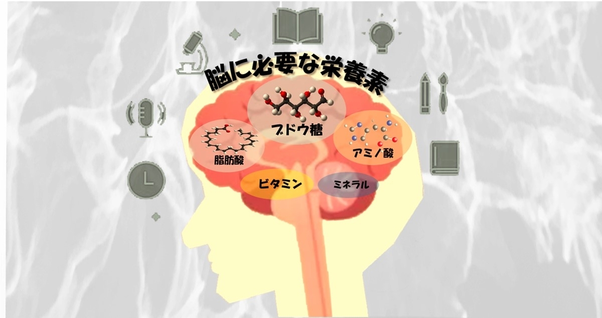 脳にとってに必要な栄養素は６つ