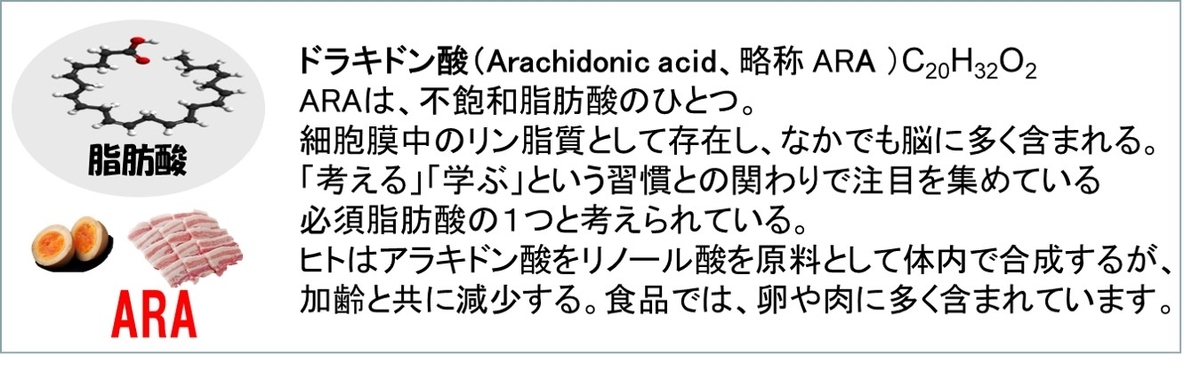 f:id:my-manekineko:20190731124318j:plain