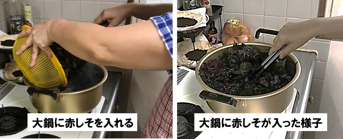 f:id:my-manekineko:20190808091223j:plain