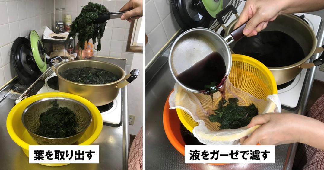 f:id:my-manekineko:20190808091253j:plain