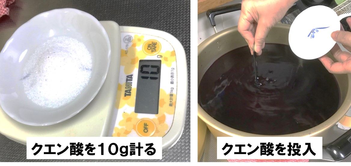 f:id:my-manekineko:20190808091430j:plain