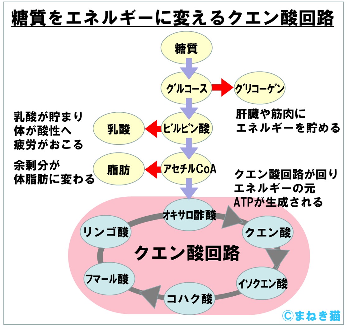 f:id:my-manekineko:20190808095933j:plain