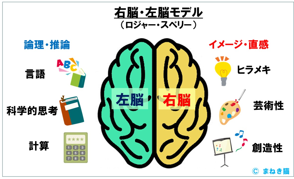 右脳・左脳モデル ロジャー・スペリーのモデル