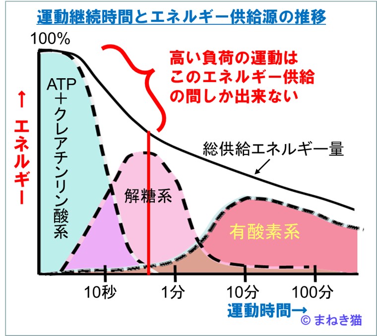 運動強度とエネルギー供給源の内容と量の推移