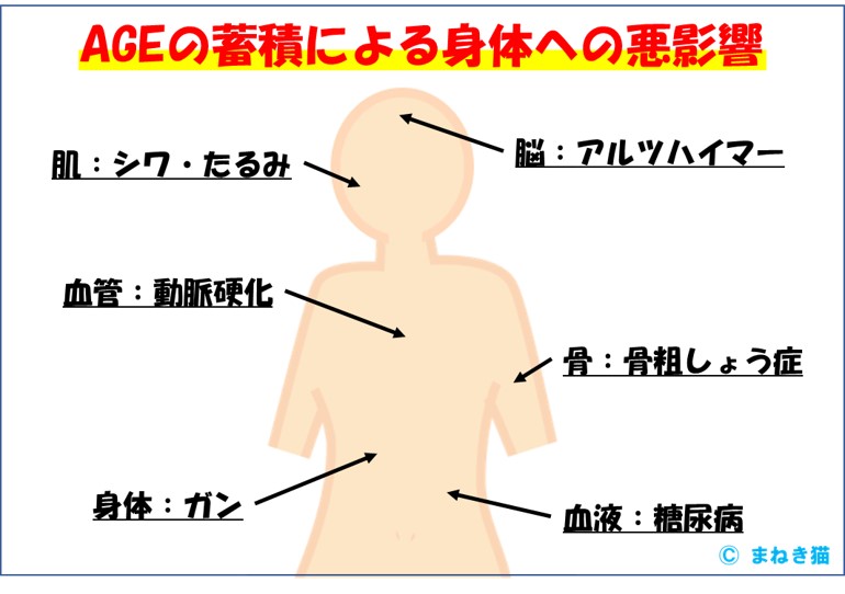 AGEの蓄積による身体への悪影響