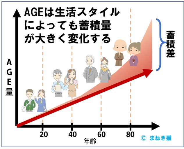 AGEは生活スタイルによっても蓄積量が大きく変化する