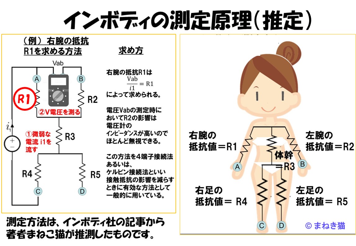 体成分測定器InBodyインボディの測定原理