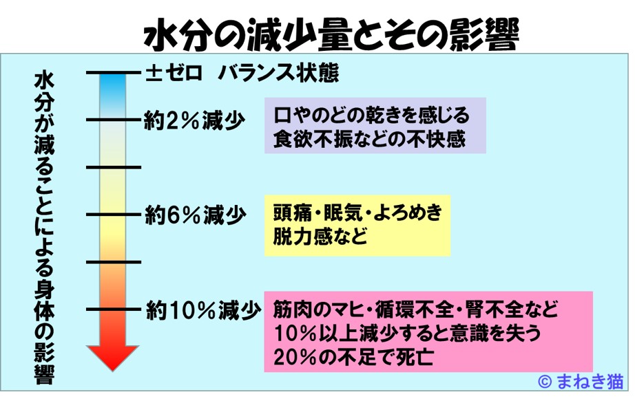 水分の減少とその影響内容