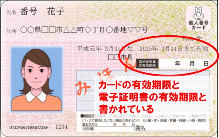 マイナンバーカードの見本