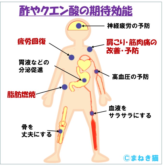 酢やクエン酸の期待効果